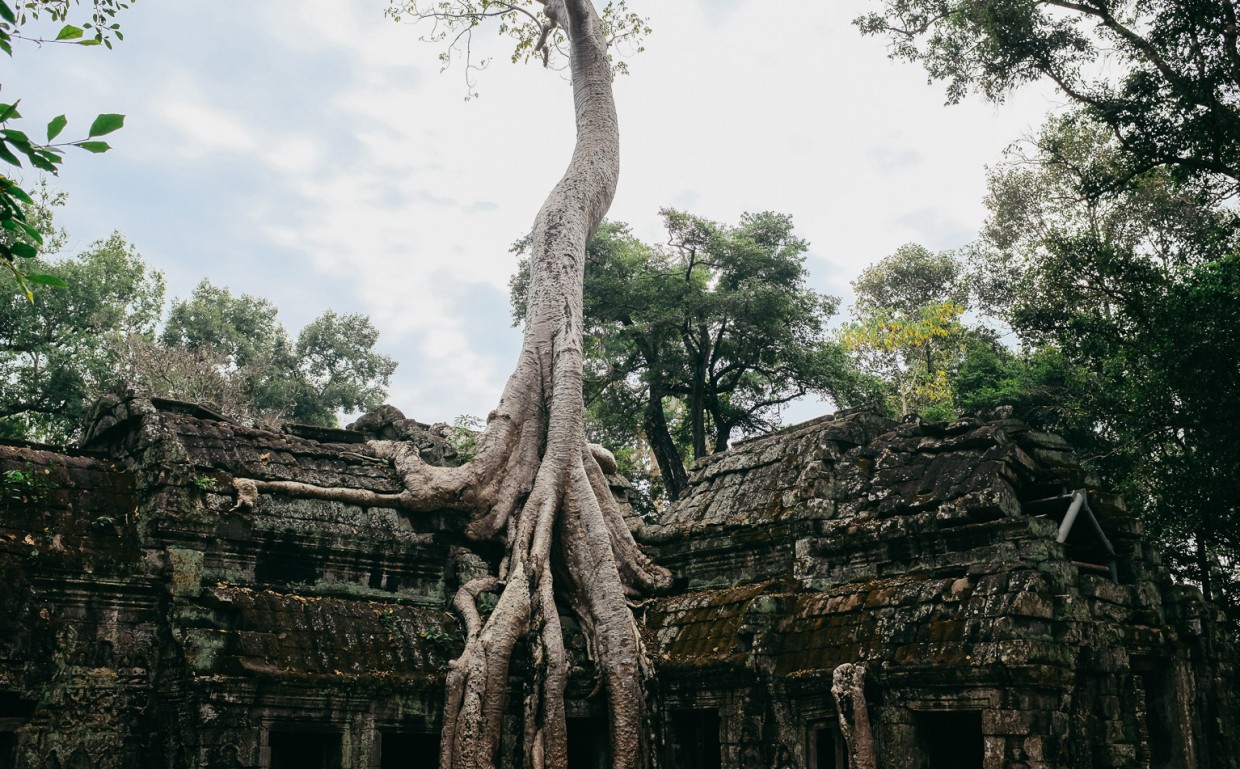 Cambodia angkor temples