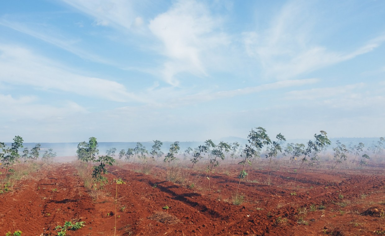 Cambodia landscape photo