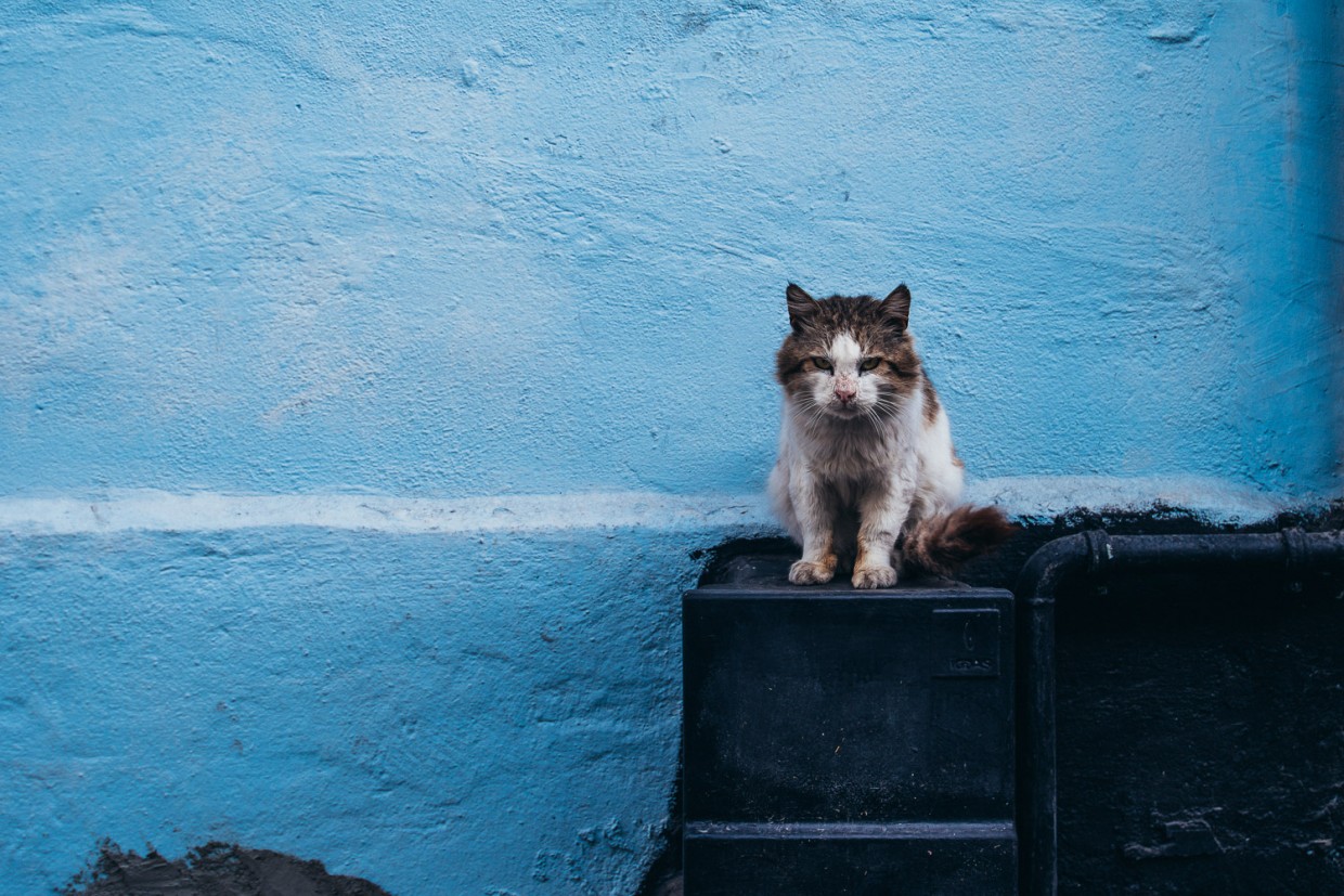 Istanbul city photography
